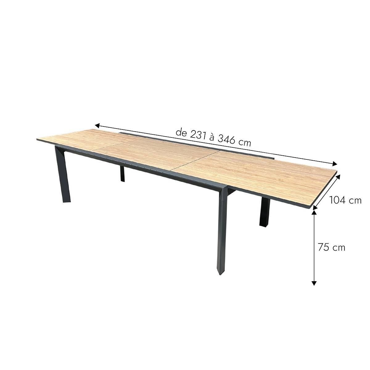 Grande table de jardin en aluminium gris et effet bois Ayden