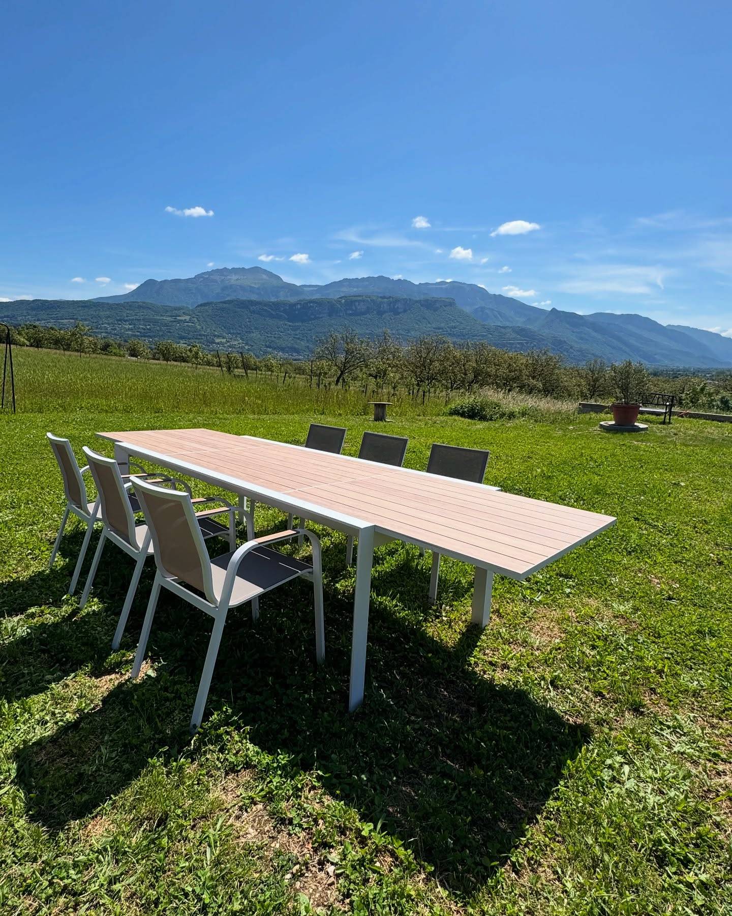 lejournaldevy